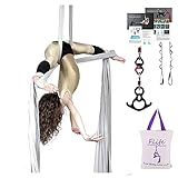F.Life Aerial Silks for Aerial Yoga Hommock Or Aerial Acrobatics (10 Yards) with The Equipment,Guide (Sliver)