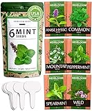 6 Mint Seeds Garden Pack - Mountain Mint, Spearmint, Peppermint, Wild Mint, Anise Hyssop, and Common Mint | Quality Herb Seed Variety for Planting Indoor or Outdoor | Make Your Own Herbal (6 Mint)