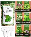 6 Mint Seeds Garden Pack - Mountain Mint, Spearmint, Peppermint, Wild Mint, Anise Hyssop, and Common Mint | Quality Herb Seed Variety for Planting Indoor or Outdoor | Make Your Own Herbal Mint Tea