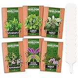 6 Mint Seeds Garden Pack - Mountain Mint, Spearmint, Peppermint, Wild Mint, Anise Hyssop, and Common Mint | Quality Herb Seed Variety for Planting Indoor or Outdoor | Make Your Own Herbal Mint Tea