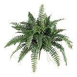 Nearly Natural 40in. Boston Fern (Set of 2), Green