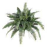 Nearly Natural 40in. Boston Fern (Set of 2), Green