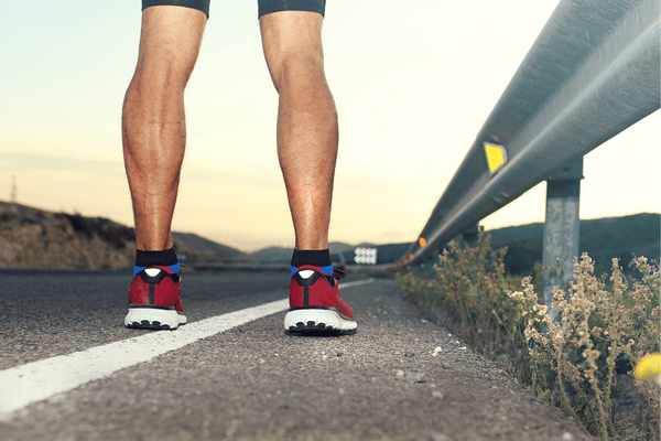 Why do runners have skinny legs? The body burns muscle fibers for energy